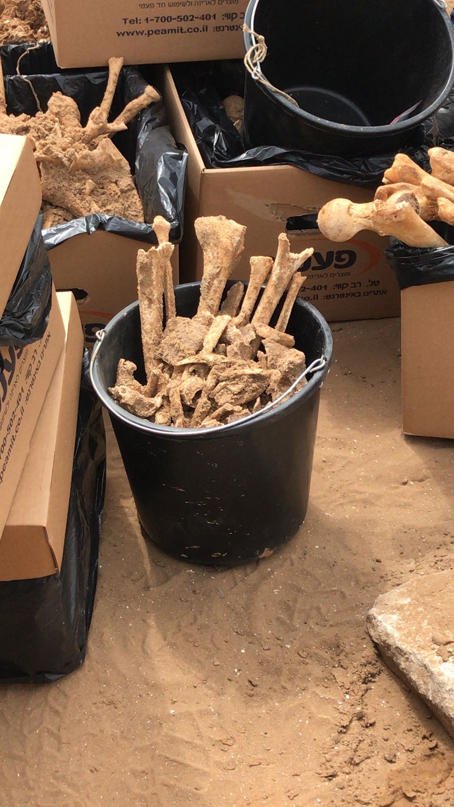 WhatsApp Image 2020-06-17 at 9.30.51 AM (1).jpeg.jpeg